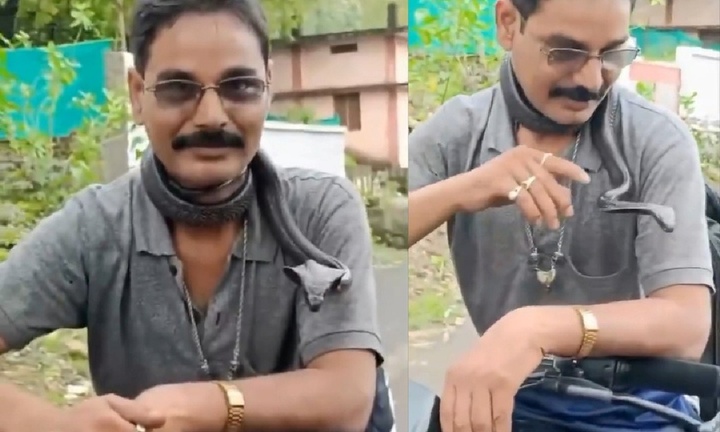 Chuyên gia bắt rắn qua đời vì hổ mang cắn, đoạn video định mệnh trước đó gây ám ảnh