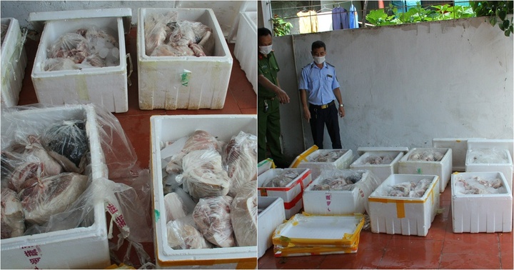 Lào Cai: Tiêu hủy hơn 400kg thịt lợn bốc mùi hôi thối