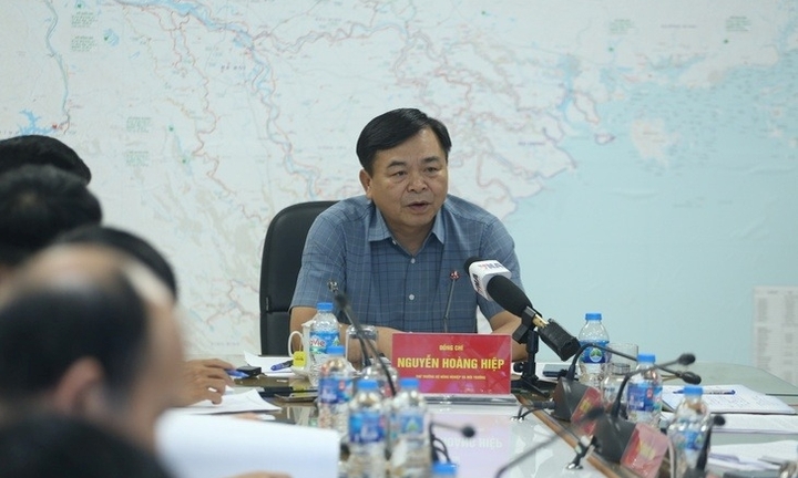 Bão Wipha: Dự báo có thể 18 tỉnh, thành chịu ảnh hưởng