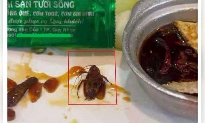 Xử phạt nhà hàng bị thực khách phát hiện có gián trong món ăn