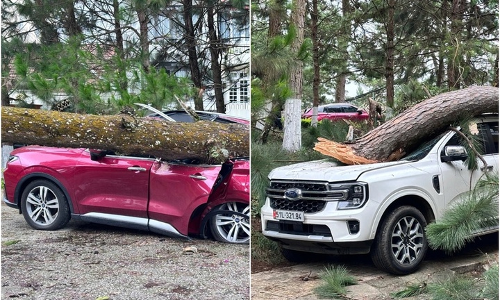 Tin thời sự hôm nay (22/7): Tìm thấy nam thanh niên mất tích suốt 4 ngày