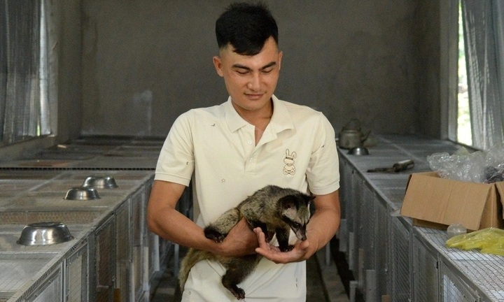 Bỏ phố về quê, 9X Hà Tĩnh đầu tư gần nửa tỷ nuôi loài thú 