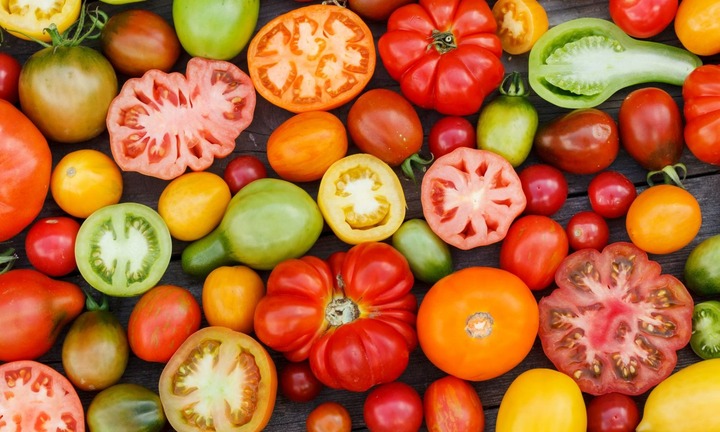 Người mắc bệnh thận có nên ăn cà chua?