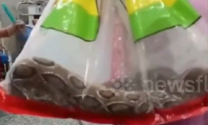 Clip: Bị rắn cắn, người đàn ông làm điều 