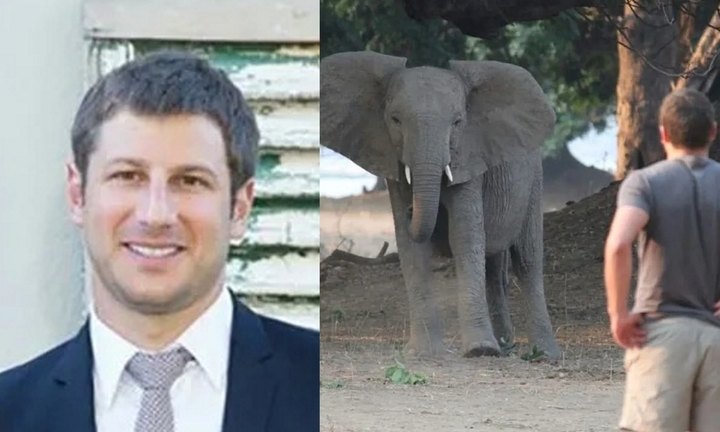 Giám đốc khu bảo tồn động vật hoang dã Gondwana bất ngờ bị voi châu Phi tấn công, tử vong thương tâm