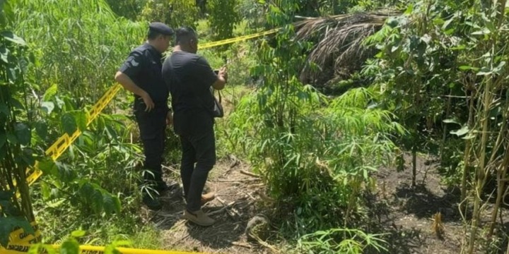 Một phụ nữ bị bắn tử vong trong vườn cây ăn quả vì bị nhầm là động vật hoang dã