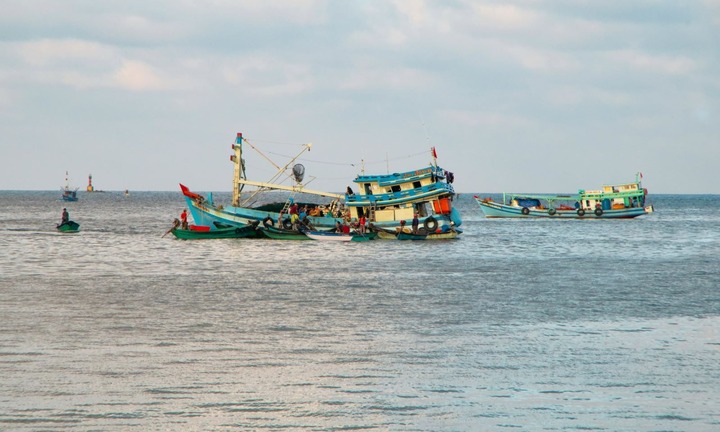 Thích thú đi cảng cá Thổ Chu sớm mai