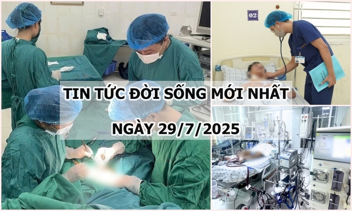 Tin tức đời sống 29/7: Người đàn ông sốc phản vệ nặng sau khi bị kiến cắn