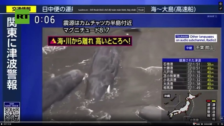 Clip: Loạt cá voi lớn dạt vào bờ sau trận động đất 8,7 độ xảy ra ngoài khơi Nga