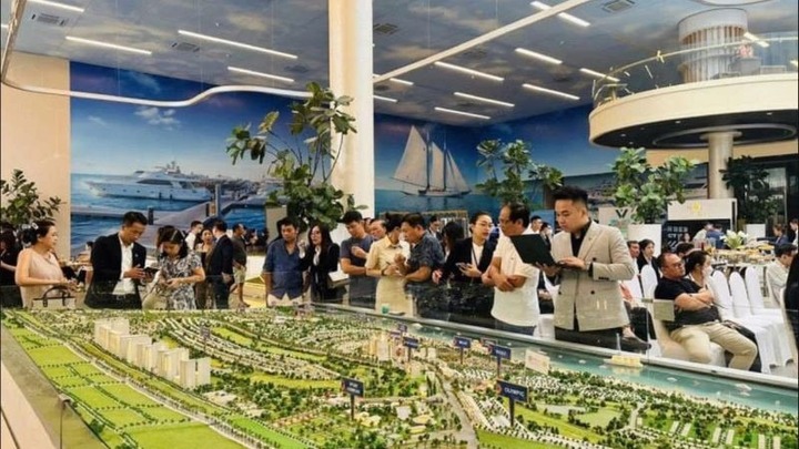 Cảnh báo tình trạng đào tạo 