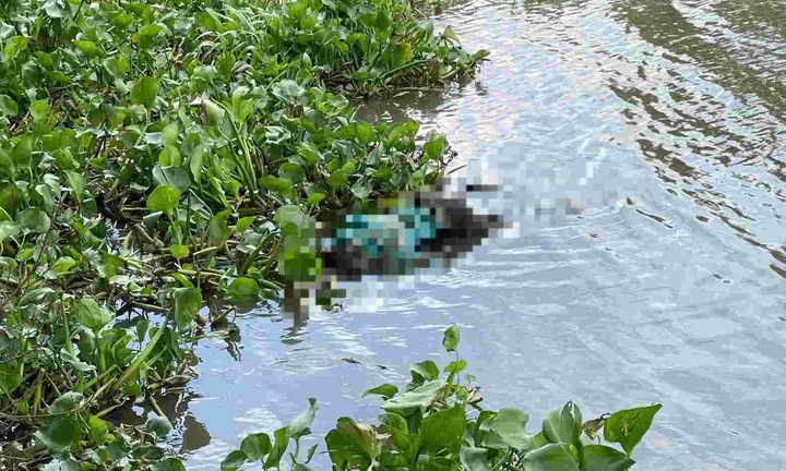 Xác minh danh tính 2 thi thể nam giới bất ngờ được phát hiện trên sông Sài Gòn 