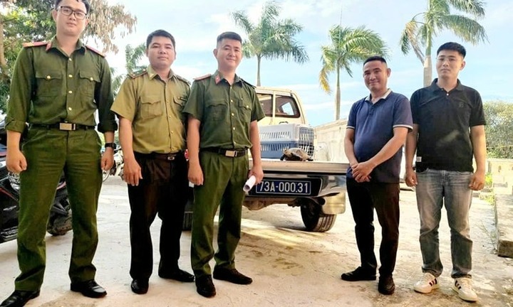 4 con động vật hoang dã vừa được cứu hộ ở Quảng Trị qúy hiếm cỡ nào?