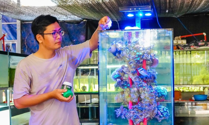 Gác bằng kỹ sư, 9X về quê 