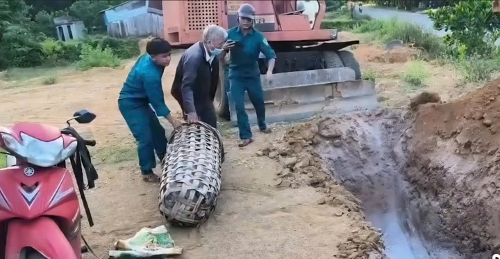 Người đàn ông ở Đà Nẵng chở lợn nhiễm dịch đi tiêu thụ, lấy cành lá ngụy trang