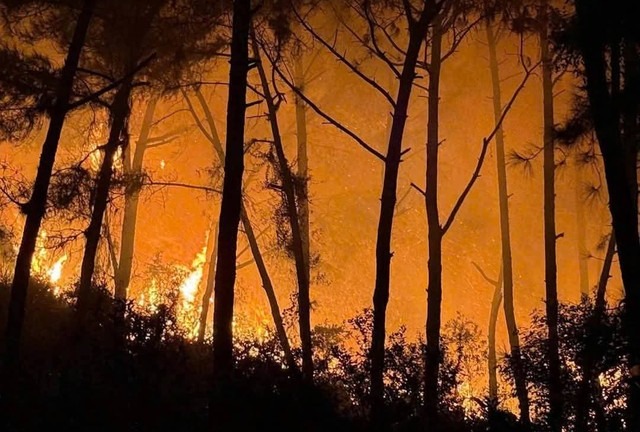 Rừng thông cháy dữ dội trong đêm, hơn 300 người nỗ lực dập lửa ở Nghệ An