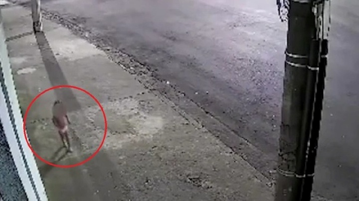 Clip: Xót xa cảnh bé gái 3 tuổi lang thang trên phố, khóc lóc đòi mẹ