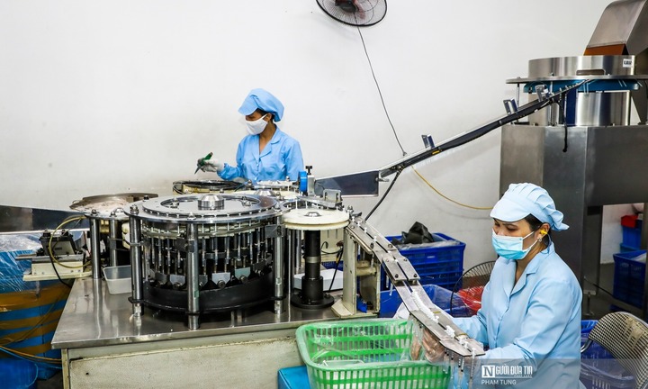 174.000 doanh nghiệp gia nhập thị trường trong 7 tháng đầu năm 2025