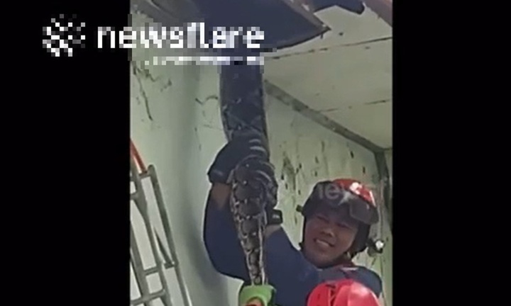 Nghe tiếng động lạ, người phụ nữ 