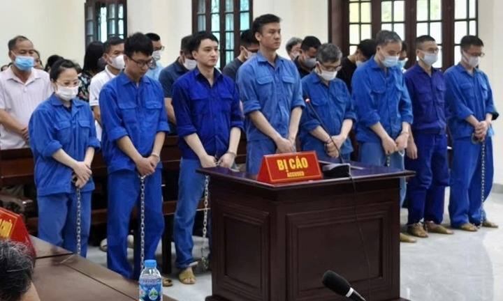 Vụ buôn lậu gỗ qua cảng Hải Phòng: Chi hơn 8,1 tỷ đồng hối lộ
