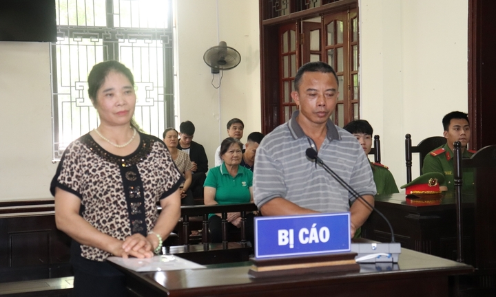 Phạt tù đôi vợ chồng sử dụng hóa chất độc hại để sản xuất giá đỗ ở Lào Cai