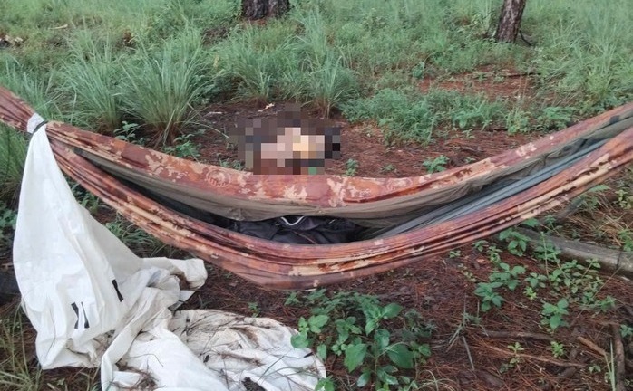 Lâm Đồng: Tổ chức nướng gà ăn ở đồi thông, nhóm thanh thiếu niên bất ngờ phát hiện bộ xương người