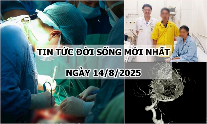 Tin tức đời sống 14/8: Việt Nam lần đầu ghép thành công đồng thời tim - phổi cho người suy đa tạng