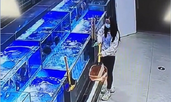 Phẫn nộ: Camera giám sát ghi cảnh cô gái giẫm chết 2 con cá trong siêu thị để mua giá rẻ