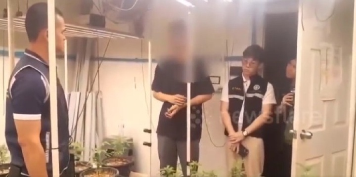 Bé gái 2 tuổi nhập viện sau khi ăn thạch hình trái tim, hé lộ bí mật bên trong xưởng sản xuất