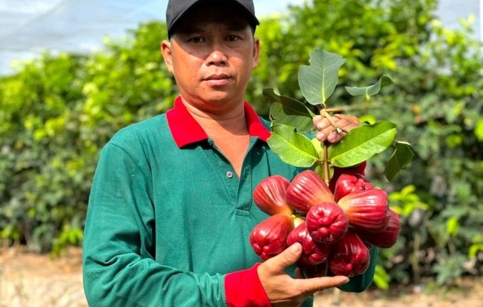 Tiết lộ 