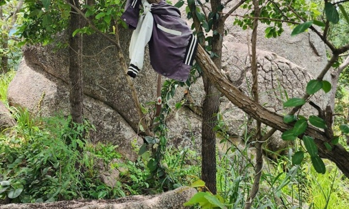 Ba thanh niên đi hái nấm trong rừng, hoảng hồn phát hiện bộ xương người