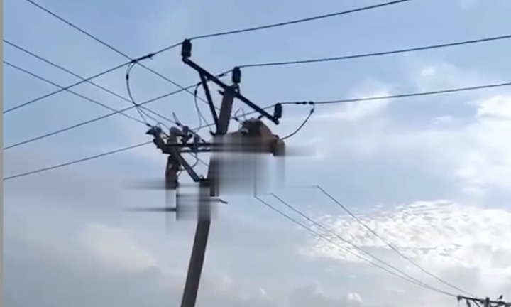 Danh tính người đàn ông tử vong khi đang sửa đường dây trên cột điện