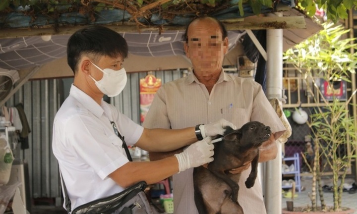 TP.HCM: Bị chó nhà cắn, 2 nạn nhân tử vong thương tâm