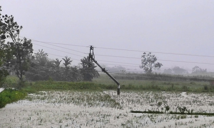 Gió bão số 5 quật đứt đường dây, Nghệ An, Hà Tĩnh mất điện diện rộng