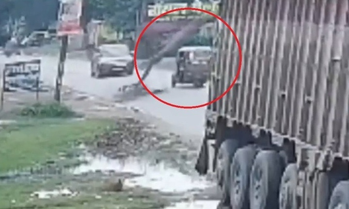 Clip: Đang đi trên đường, xe ba bánh bị cây xoài khô đổ đè trúng, 4 người nhập viện