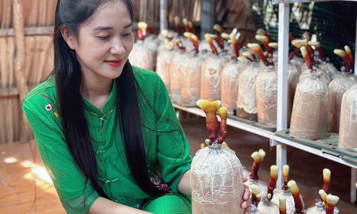 Trồng hơn 10 loại nấm sặc sỡ, 9X thu lãi gần 30 triệu đồng mỗi tháng