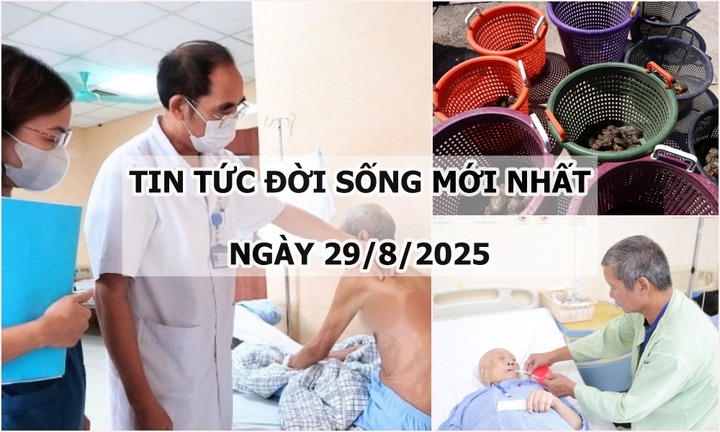 Tin tức đời sống 29/8: Cụ ông bị zona thần kinh bội nhiễm, nổi dày đặc mụn nước ở ngực, lưng