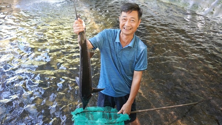 Bỏ phố về rừng sâu, mất sạch vốn liếng sau một đêm, giờ thành 