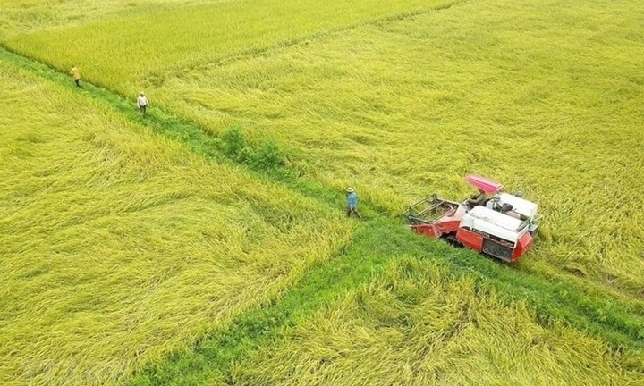 Cách chuyển đổi đất nông nghiệp sang đất thổ cư mới nhất