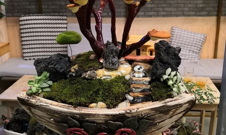 Chiêm ngưỡng bonsai độc lạ, giá đắt đỏ được giới yêu cây mê mẩn