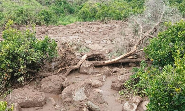  Lở đất san phẳng ngôi làng ở Sudan, hơn 1.000 người thiệt mạng, chỉ 1 người sống sót