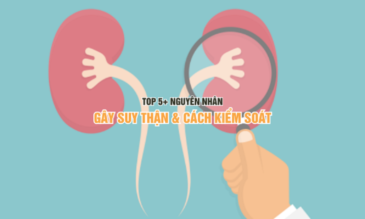 Top 5+ nguyên nhân suy thận và cách kiểm soát hiệu quả