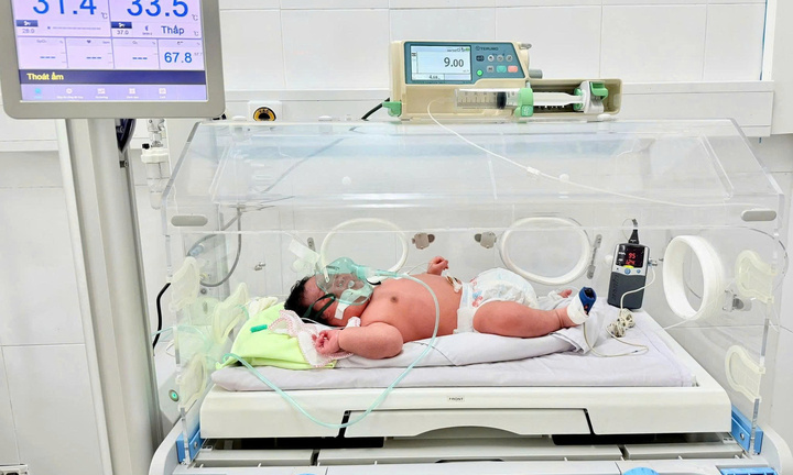 Bé sơ sinh ở Quảng Ninh chào đời với cân nặng 6,2kg