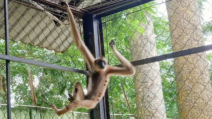 Được bạn tặng con vật quý hiếm 