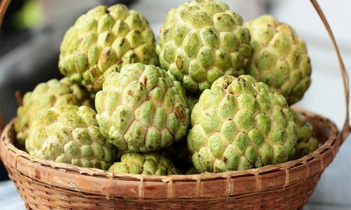 Loại quả vào mùa thơm ngọt, bổ dưỡng nhưng lại cực hại với người bệnh thận