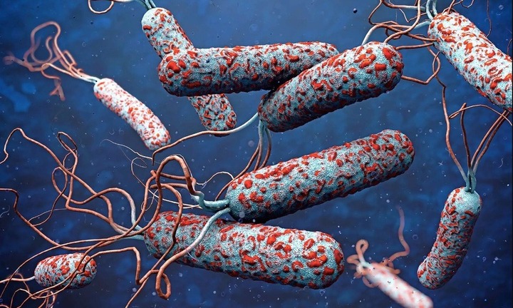 Bộ Y tế cảnh báo người dân không nên chủ quan với bệnh tả