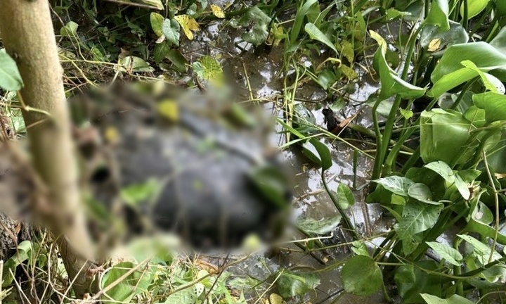 Vụ người phụ nữ bị sát hại, phi tang xác cách hiện trường 70km: Danh tính nạn nhân