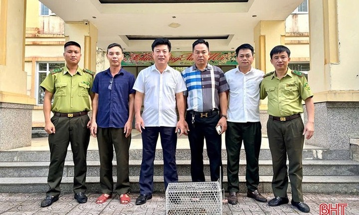 Người đàn ông mua trăn đất 