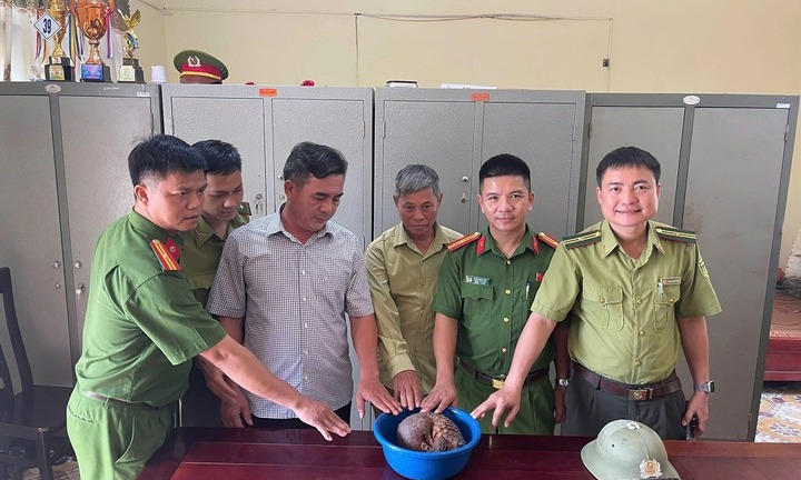 Phát hiện con vật quý hiếm 