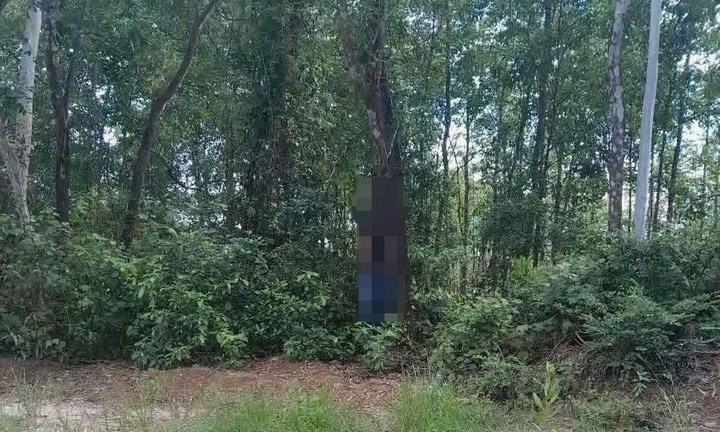 Phát hiện người đàn ông tử vong trong tư thế treo cổ ở Quảng Trị