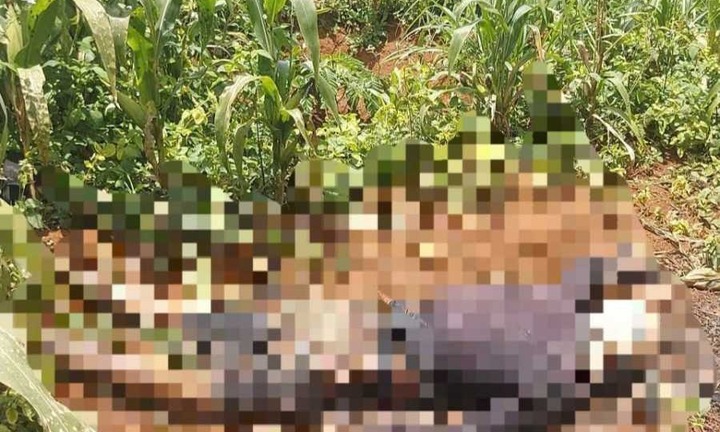 Phát hiện thi thể nam giới trong vườn ở Lâm Đồng: Nạn nhân mới 26 tuổi, hiện trường có điểm 